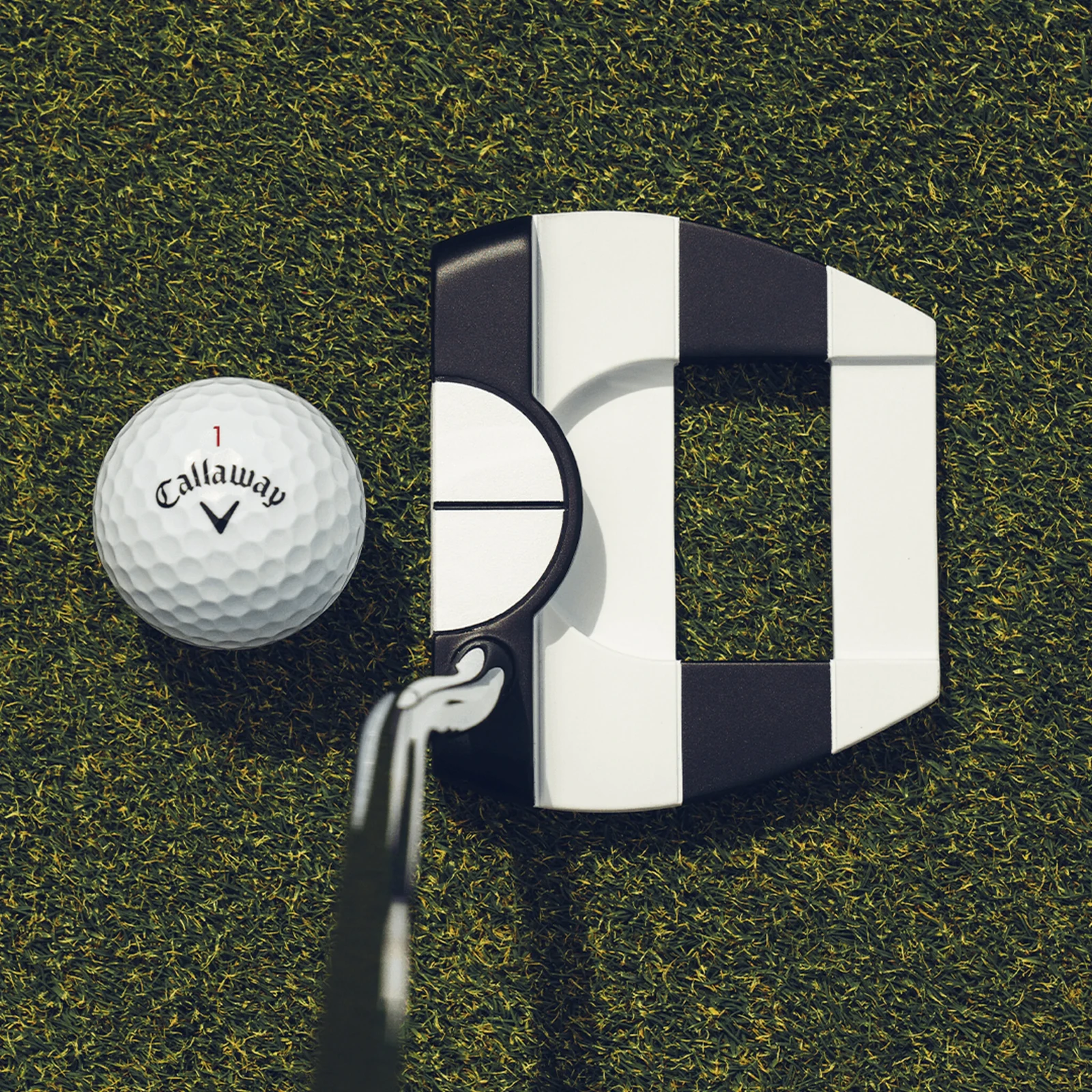 putters 2026 ai dual jailbird mini 1 2 ball db 2