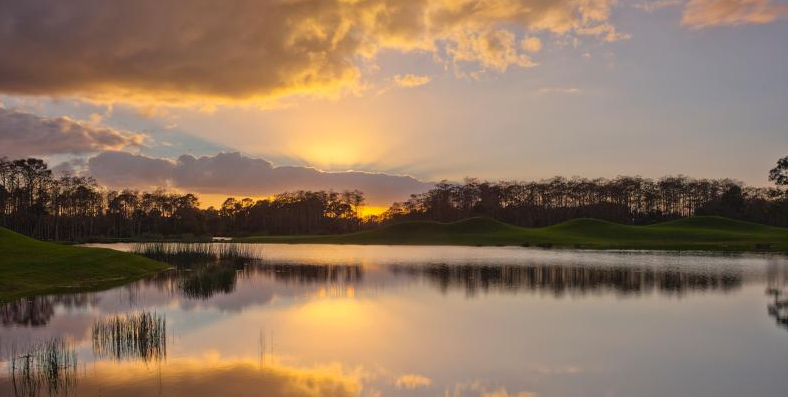 The Dye Preserve